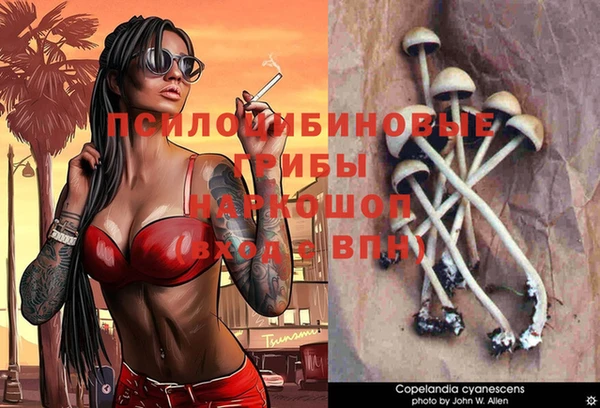 гидра Арсеньев