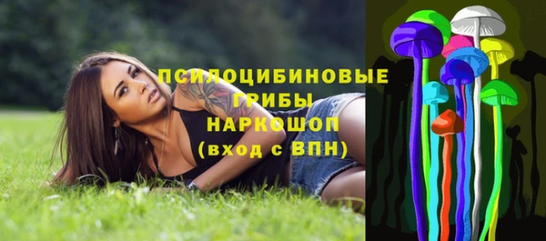 гидра Арсеньев